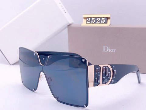 Dior Sunglasses-943